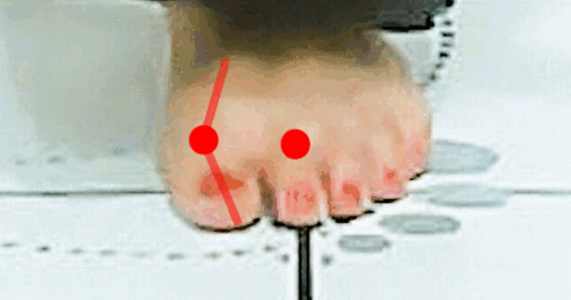 柔らかい足が硬くなる様子