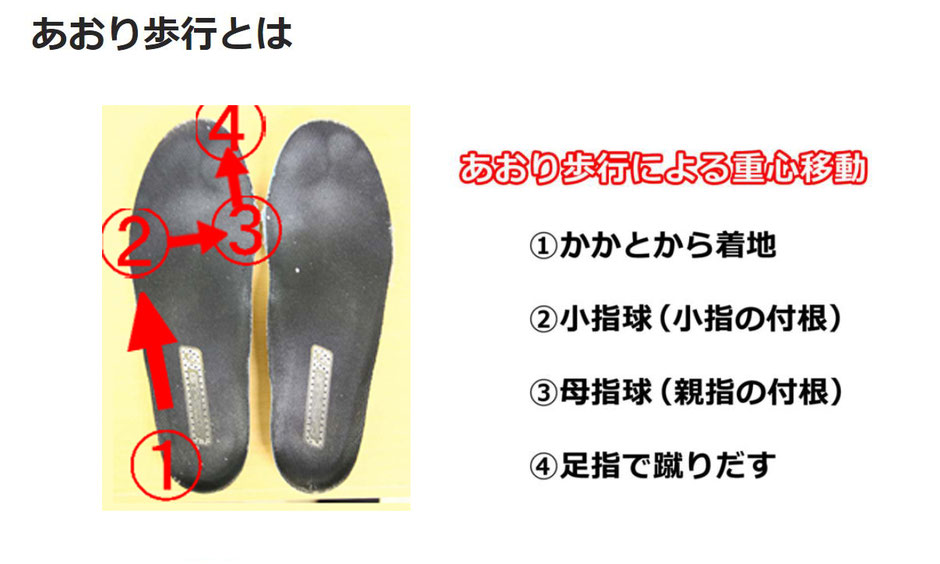足裏の荷重が、かかとの外側から小指球を通り、母指球と親指側へ移動する足のあおり運動の流れを示した図解