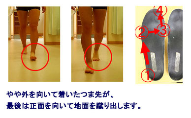 踵から小指側を通り、親指側へ荷重を移して歩く煽り運動の流れを示した画像