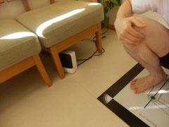 膝の内側にある鵞足の位置と、縫工筋・薄筋・半腱様筋の三つの腱が脛骨へ付着する場所を示した図