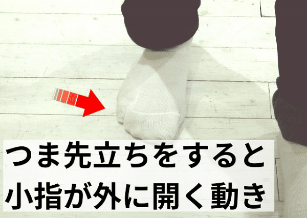 ラクちんソックスの小指独立構造によって、小指が外側へ開き、足部が安定する様子