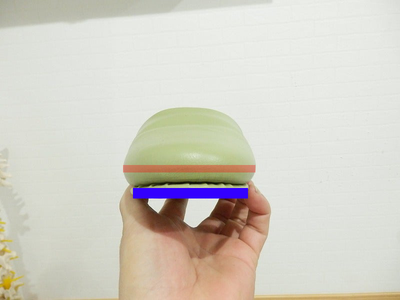 足全体の外形よりも、実際に地面へ接している足裏の幅が狭いことを示した画像