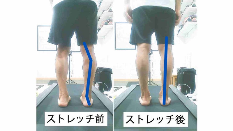 歩行時の左右の脚の動きと体の対称性の違いを比較した画像