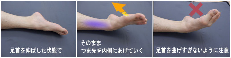 後脛骨筋周辺を働かせる足首の運動