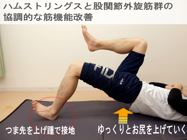 かかとで床を支えるハムストリングスと臀部の協調運動