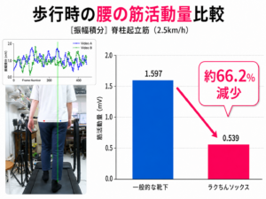歩行時の筋電図データ|靴下の違いで背中の筋活動は変わる 産業試験場で、筋電図による測定を行いました。筋肉がどの程度働いているかを、筋電図で計測しました。