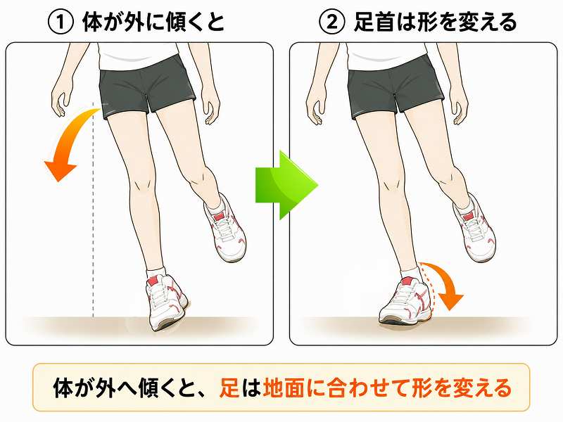 体が外に傾くと、足のアーチは低下する様子を説明しているイラスト