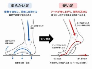 周期